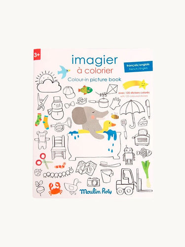Colour-in Picture & Stickers Book