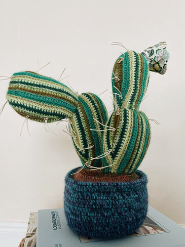 Handmade Knitted Cactus from Creme de la Creme ala Edgar