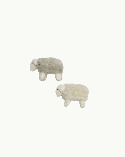 Little Wool Lambs