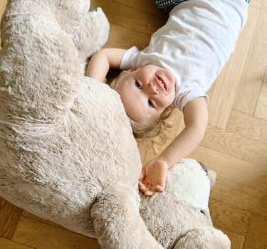 Soft Teddy Bear, Large