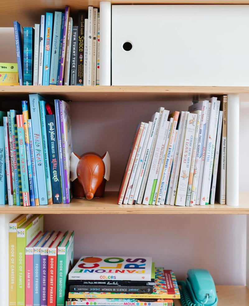 Mini Library, Birch