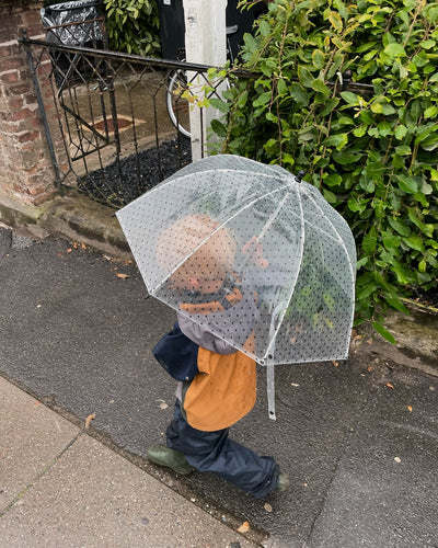 Umbrella from Bonton